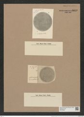 Coscinodiscus circumdatus A. Schm. (de-Toni-Nr.: Genus 202, Species 4883) Zeichnungen Sammlung Grunow Nr. 8640 (NHMW-BOT-W0378038)